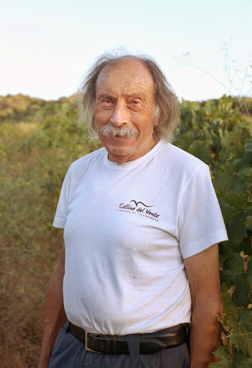 Winemaker at Colline Del Vento vineyard, Sardinia