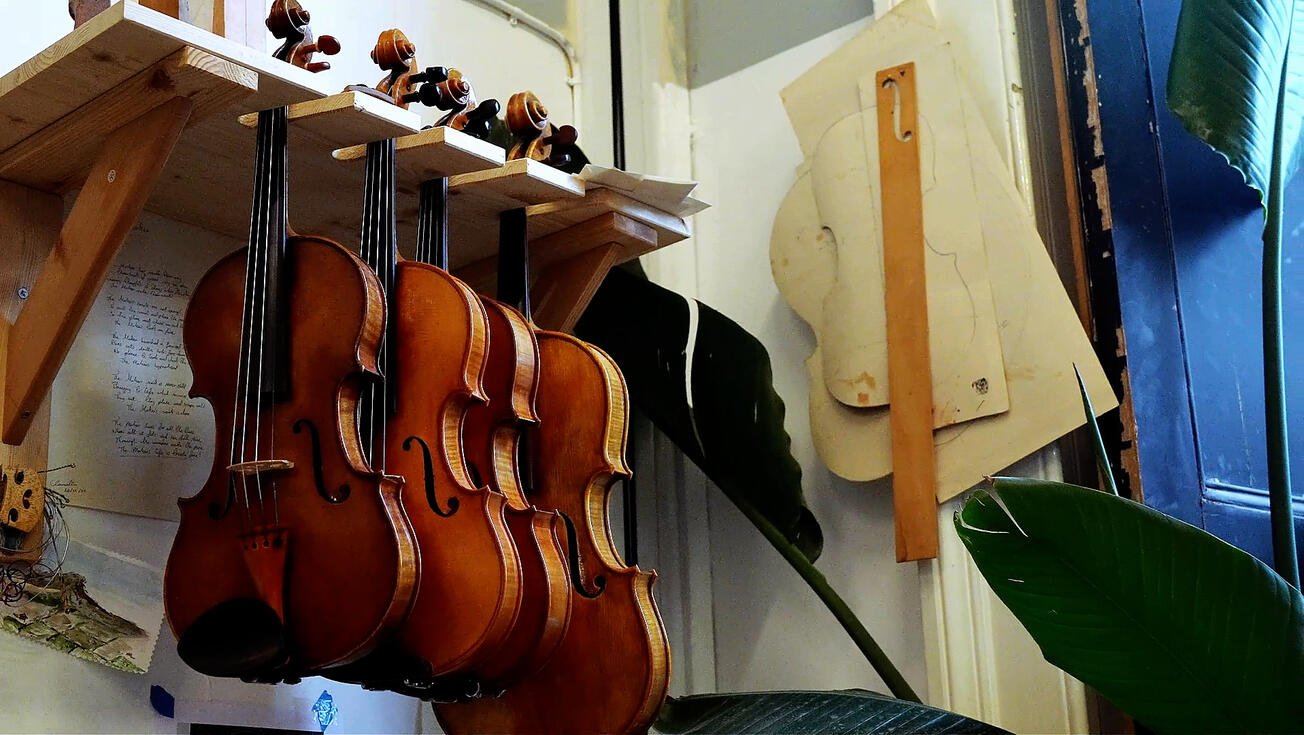 Handmade violins hanging in Jonathan Hill's workshop