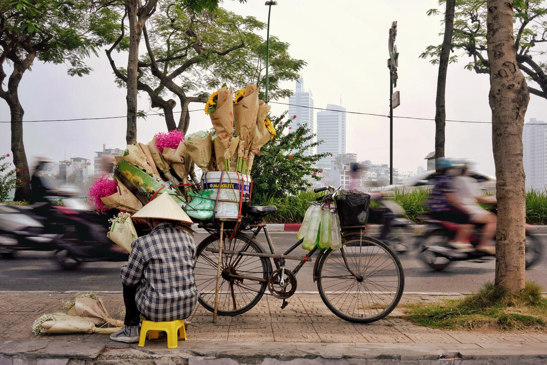 Flower seller and sunflower-laden bicycle amid Hanoi traffic