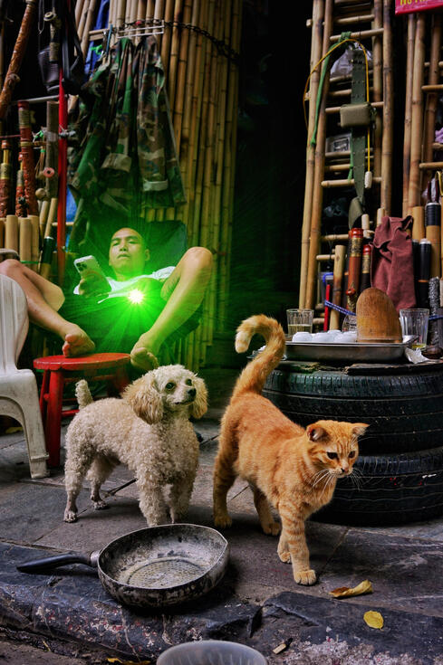 Man on his phone in a hammock with his dog and cat, Hanoi